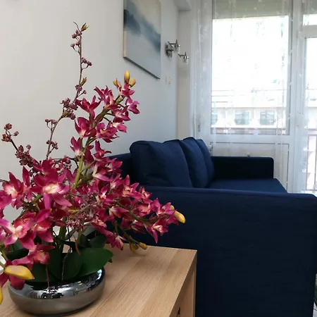 Lido Apartman Apartment *